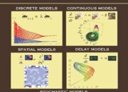 What are the best books for learning mathematical modeling?