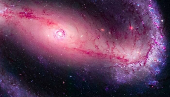 Galactic Wanderers: Exoplanets Found Orbiting an Extragalactic Star