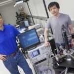 Massless Wanderers: Electrons Shed Weight in Carbon Sheets