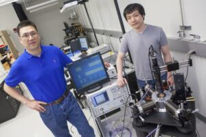 Massless Wanderers: Electrons Shed Weight in Carbon Sheets