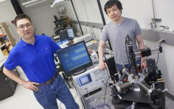 Massless Wanderers: Electrons Shed Weight in Carbon Sheets