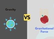 What is the difference between gravity and the strong force?