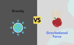 What is the difference between gravity and the strong force?