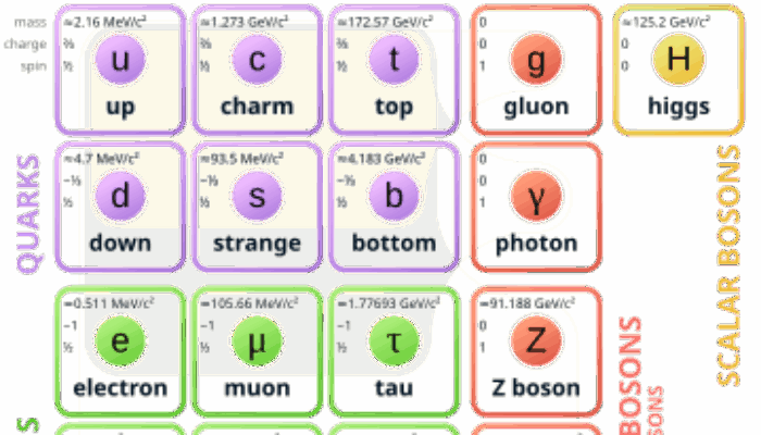 What is meant in particle physics by the term hermeticity?