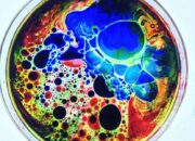 Is it possible to make liquid light?