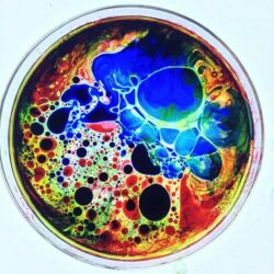 Is it possible to make liquid light?
