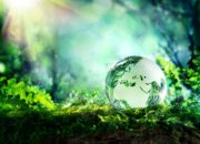 The environment is a life-saver