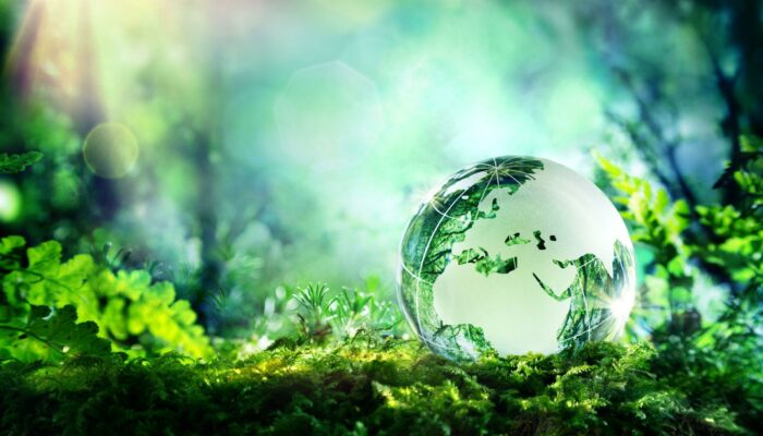 The environment is a life-saver
