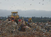 Are incinerators more environmentally friendly than landfills?