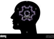 Is an electron an information packet the brain uses?
