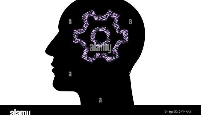 Is an electron an information packet the brain uses?