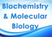 Biochemistry or Molecular Biology? Decoding the Molecular Maze