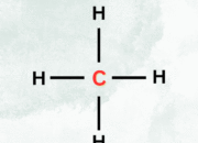 How to know which atom is the basic centre in a molecule?