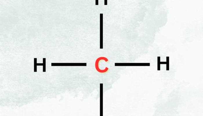 How to know which atom is the basic centre in a molecule?