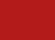 Red Light Therapy: Physics Placebo or Potential?