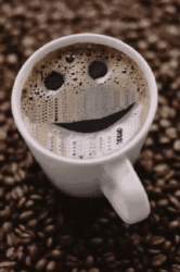Caf Society Goes Scientific: Coffee Conversation and Quantum Theory
