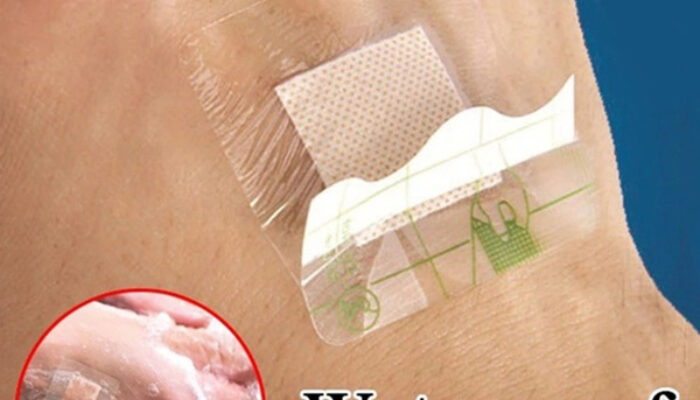 Bacteria Band Together: Microbes Cooperate to Outsmart Threats