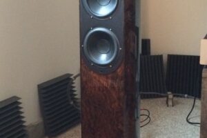 From Fibers to Speakers: All-in-One Audio Technology
