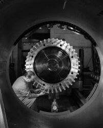 Should CERN be stopped?