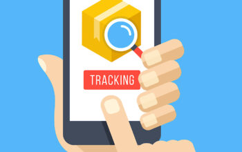 Tracking Graphene Defects as They Creep and Climb