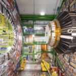 Are quantum fields at rest? If so