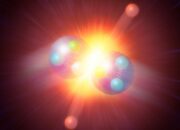 Is the Higgs boson present in every particle?