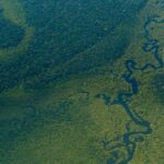 Fluids Mixing in Reverse: A Counterintuitive Discovery