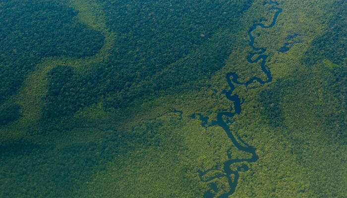 Fluids Mixing in Reverse: A Counterintuitive Discovery