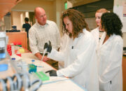 From Lab Bench to Industry: The Scope of an MSc in Biophysics