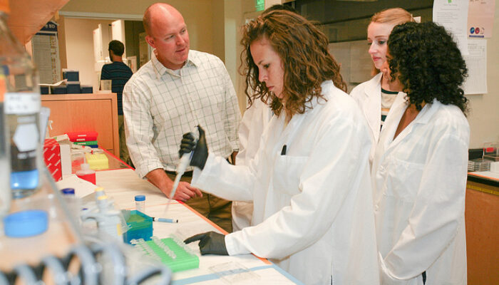 From Lab Bench to Industry: The Scope of an MSc in Biophysics