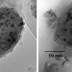 Dust to DNA? Interplanetary Grains and the Origins of Life