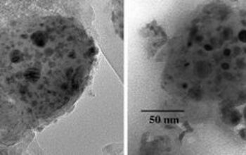 Dust to DNA? Interplanetary Grains and the Origins of Life