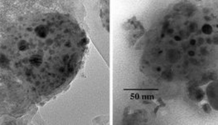 Dust to DNA? Interplanetary Grains and the Origins of Life