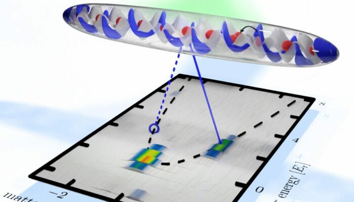 Under the Lens: Diamonds Reveal Their Quantum Secrets