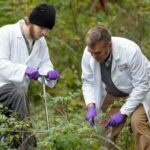 Systems Biology: What Do System Biologists Study?