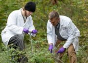 Systems Biology: What Do System Biologists Study?