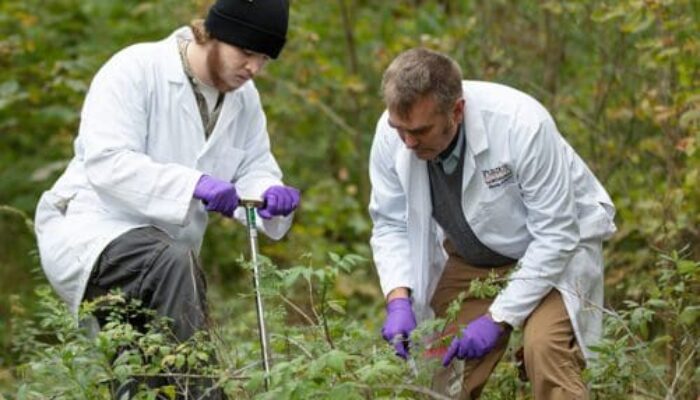 Systems Biology: What Do System Biologists Study?