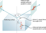 What happens to the intensity of light when it is polarized?
