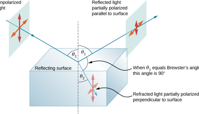 What happens to the intensity of light when it is polarized?