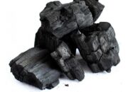 Carbon-Based Electronics: Organic Circuits for a New Age