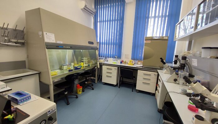 Physics for All: Building a Female-Friendly Lab Culture