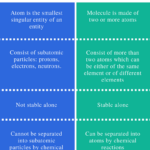 Which one has more mass an atom or a molecule?