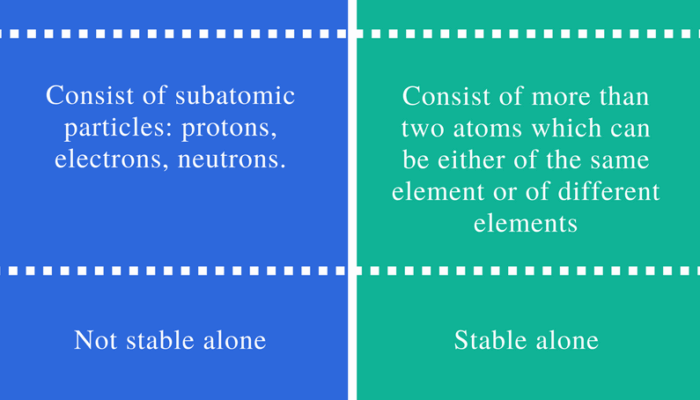 Which one has more mass an atom or a molecule?