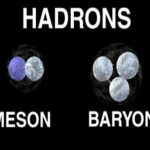 What are the differences between hadrons and leptons?