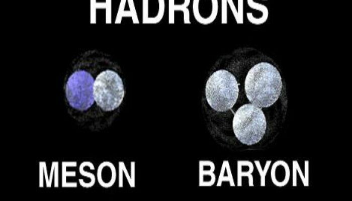 What are the differences between hadrons and leptons?
