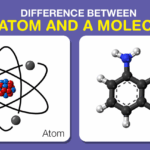 What is the difference between matter and an atom?