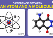 What is the difference between matter and an atom?