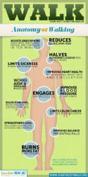 What is health science education?