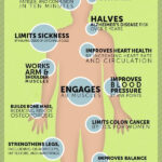 What is health science education?
