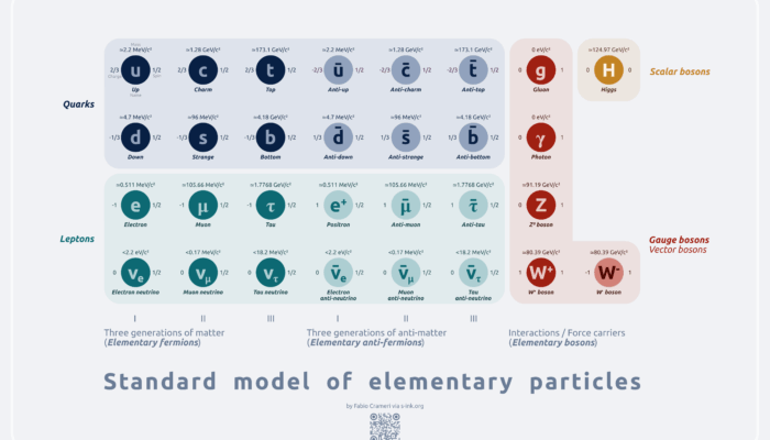 Where did my elementary particles originate from?